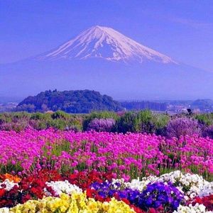 Meet your Posher, Colleen